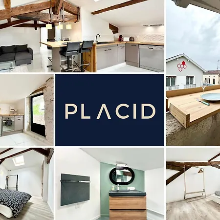 Apartament Les Remparts De Pitrac - Au Coeur De L'hyper Centre