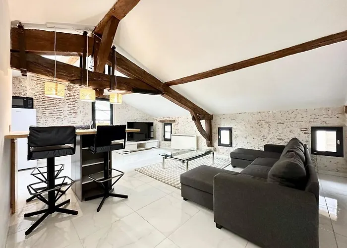 Les Remparts De Pitrac - Au Coeur De L'hyper Centre * Mont-de-Marsan